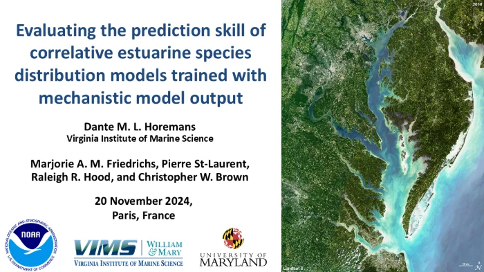 Evaluating the prediction skill of correlative estuarine species distribution models trained with mechanistic model output