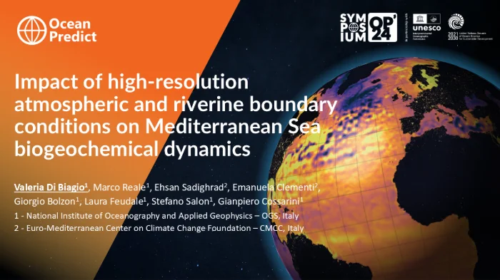 Impact of high-resolution atmospheric and riverine boundary conditions on Mediterranean Sea biogeochemical dynamics