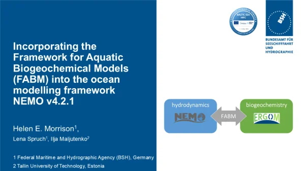 Incorporating the Framework for Aquatic Biogeochemical Models (FABM) into the ocean modelling framework NEMO v4.2.1