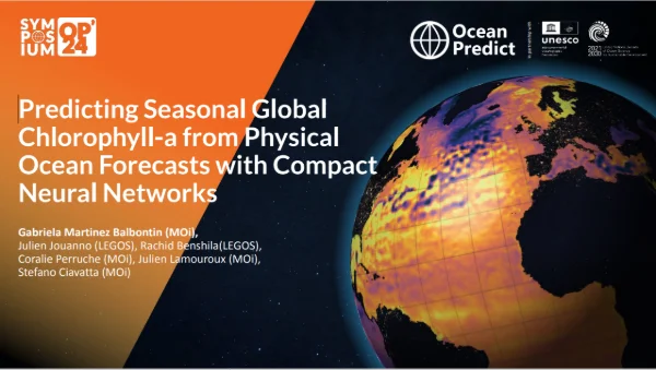 Optimizing Global-Scale Seasonal Marine Biogeochemical Forecasting with Compact Neural Networks