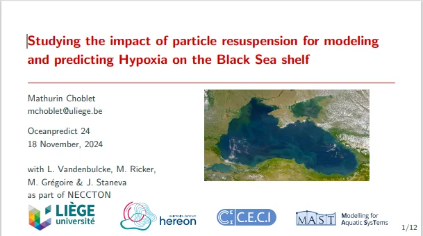 Studying the impact of particle resuspension for modeling and predicting Hypoxia on the Black Sea shelf