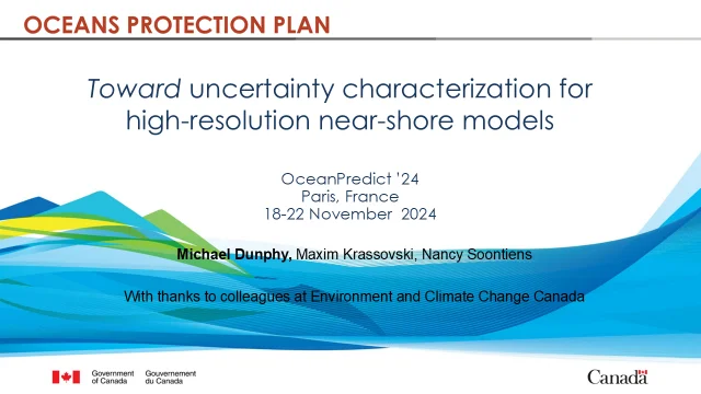 Uncertainty characterization for high-resolution near-shore models