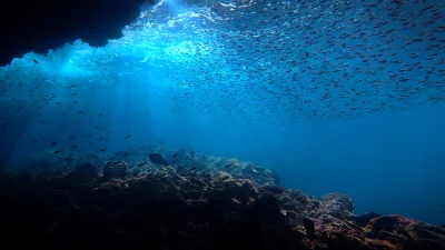 Ocean prediction (systems and) services