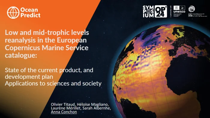 Low and mid-trophic levels reanalysis in the European Copernicus Marine Service catalogue